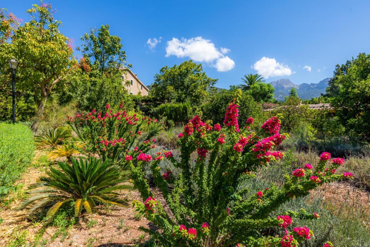 Finca Ca'S Curial - Agroturismo - Adults Only Sóller Buitenkant foto