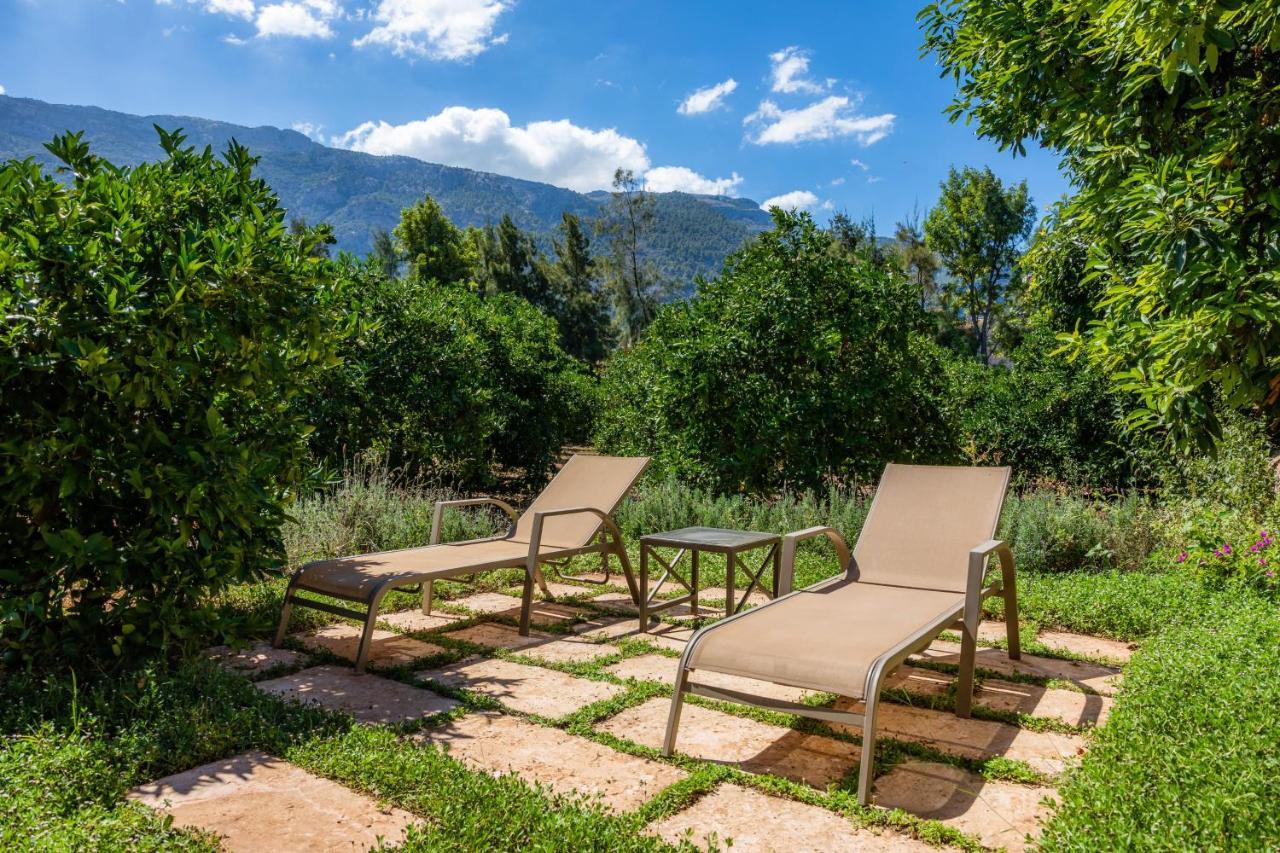 Finca Ca'S Curial - Agroturismo - Adults Only Sóller Buitenkant foto