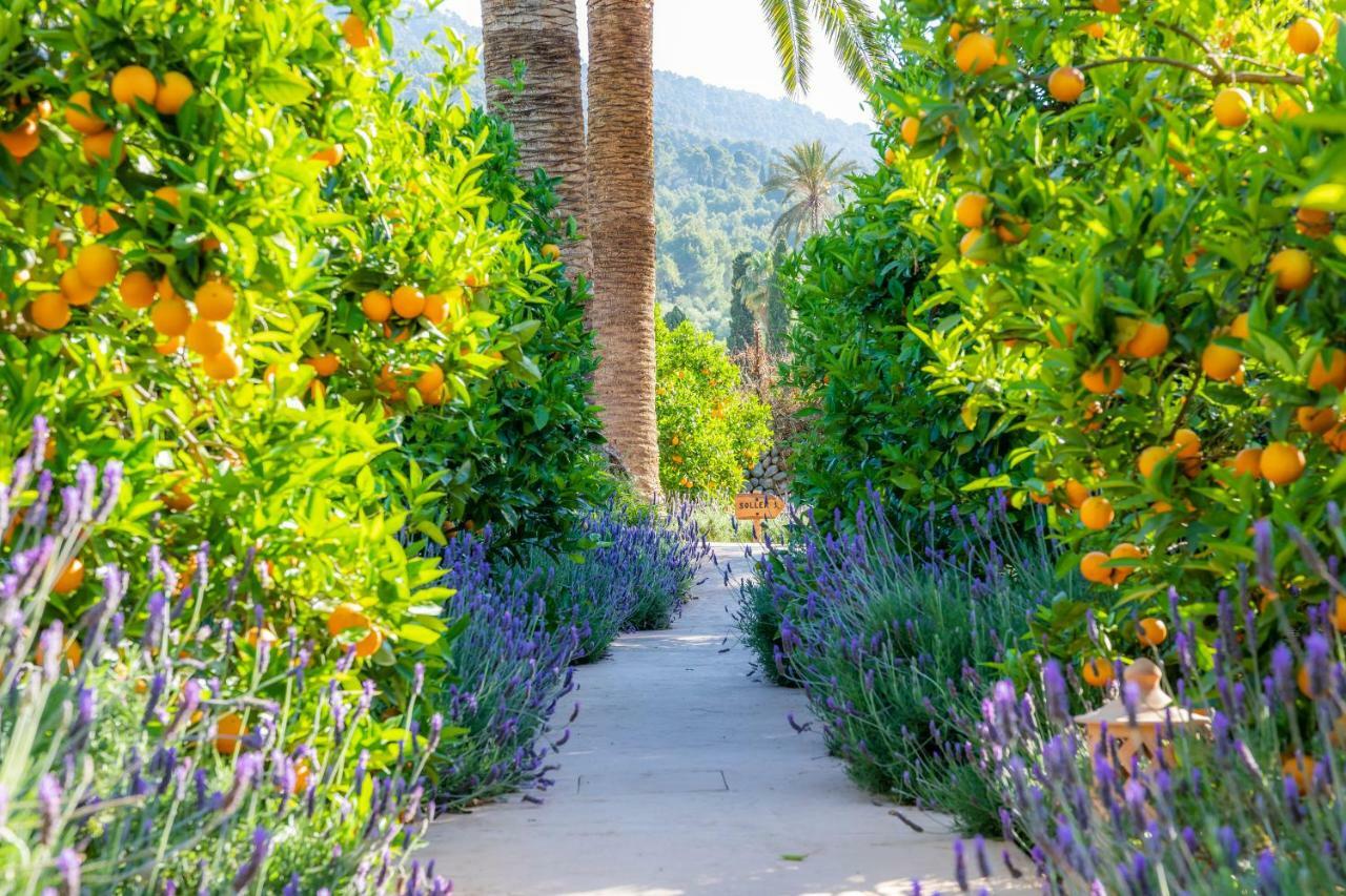 Finca Ca'S Curial - Agroturismo - Adults Only Sóller Buitenkant foto