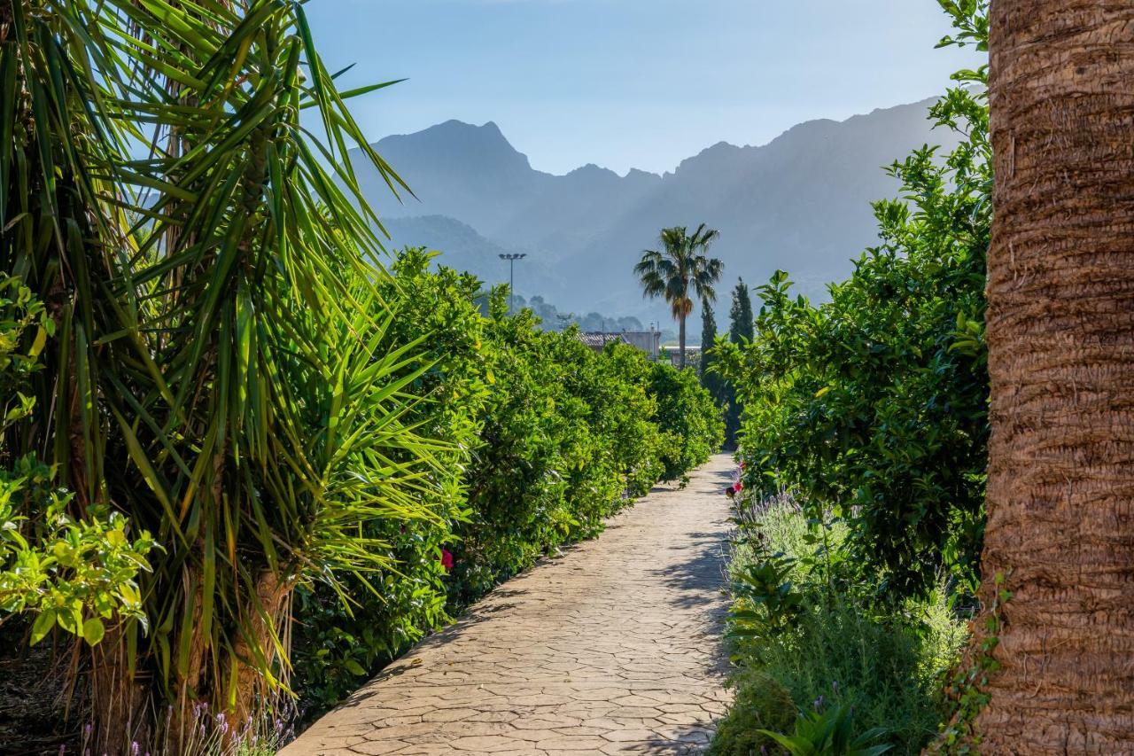 Finca Ca'S Curial - Agroturismo - Adults Only Sóller Buitenkant foto