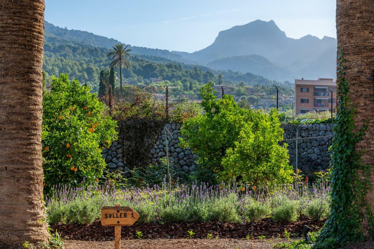 Finca Ca'S Curial - Agroturismo - Adults Only Sóller Buitenkant foto