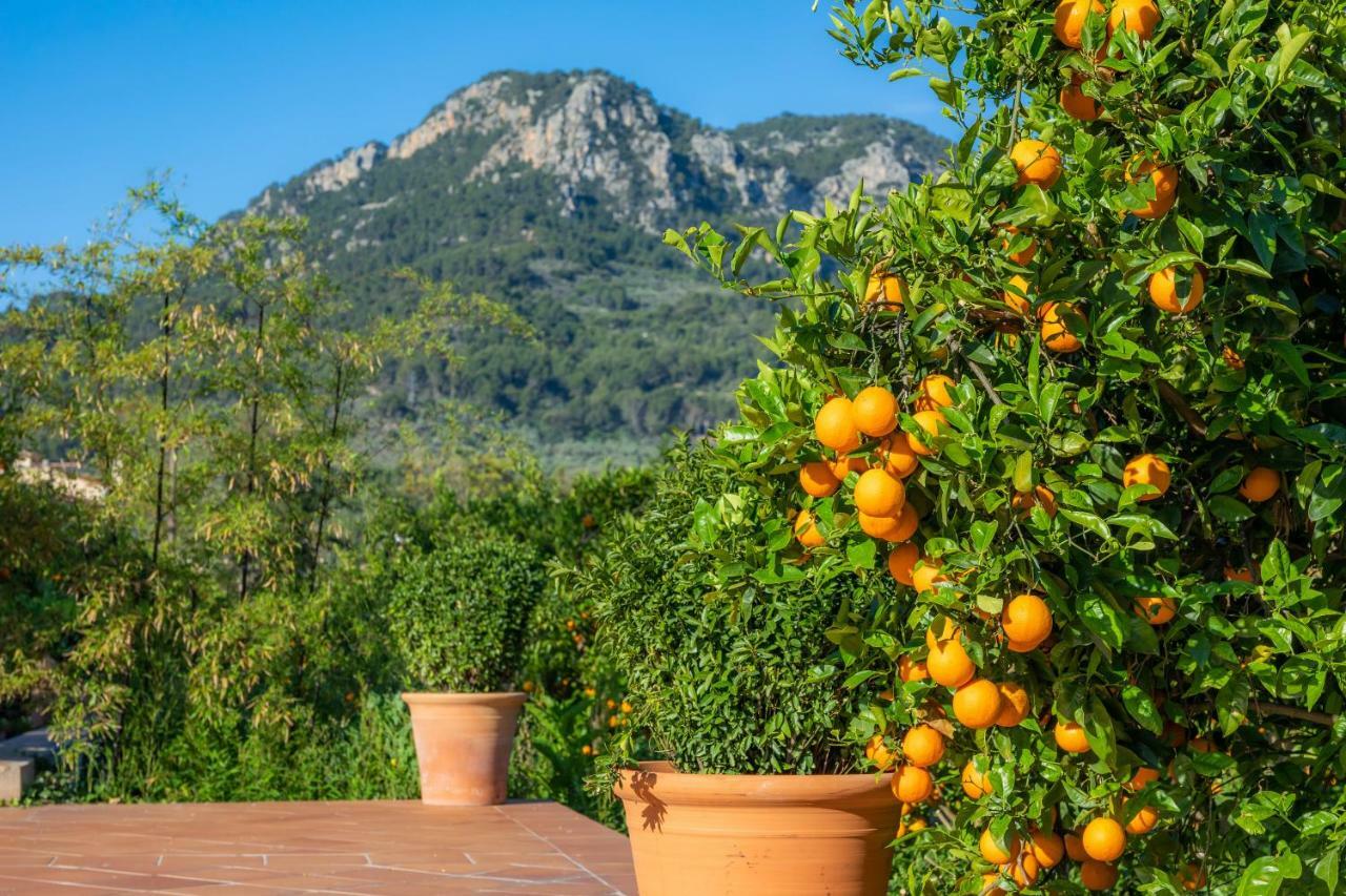 Finca Ca'S Curial - Agroturismo - Adults Only Sóller Buitenkant foto